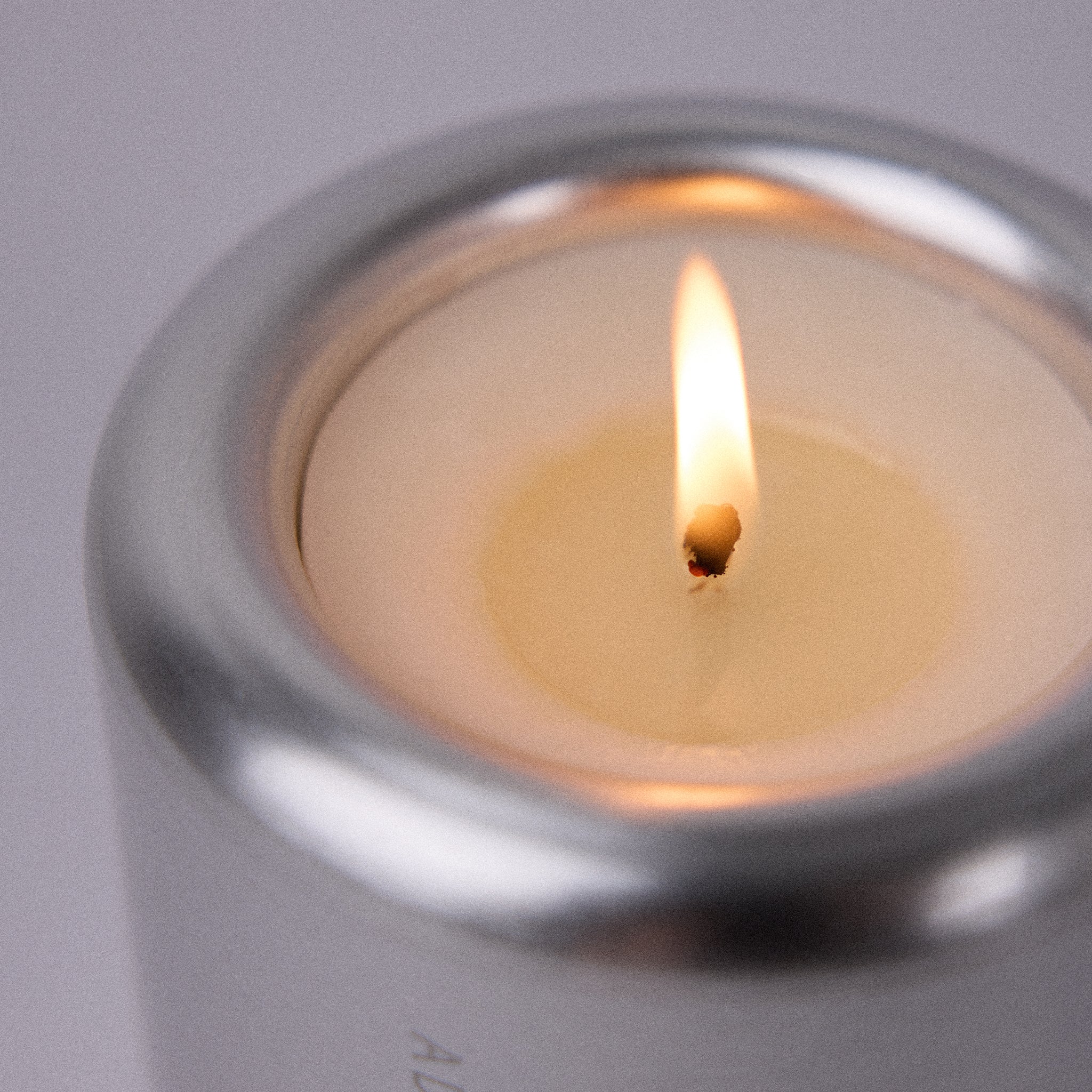 Addition Studio Blue Gum and Lemon Myrtle Essential Oil Candle - Image 2