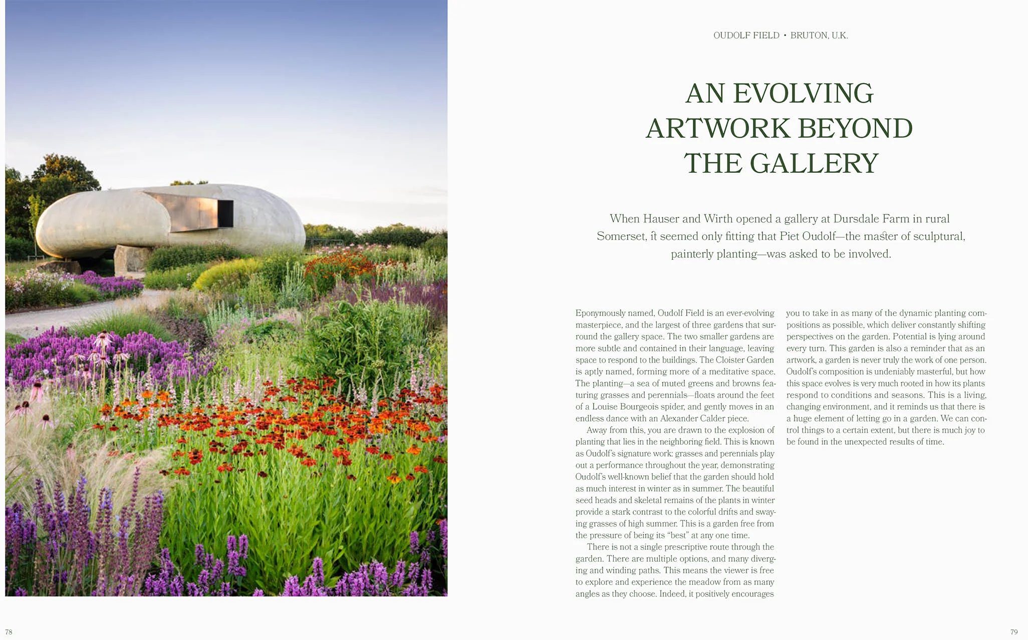 The Avant Gardens - Image 3