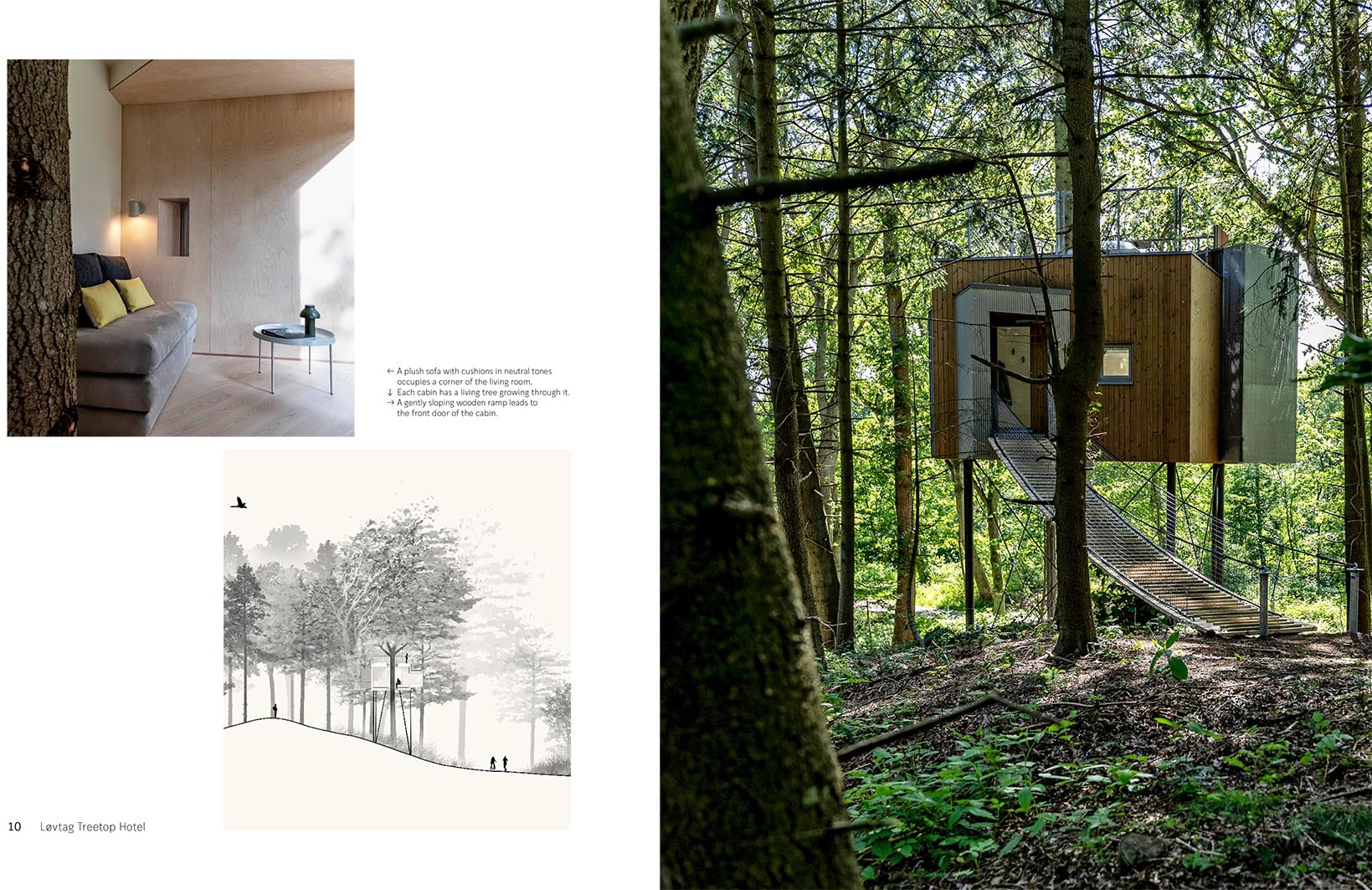 Cabin Fever: Enchanting Cabins - Image 9