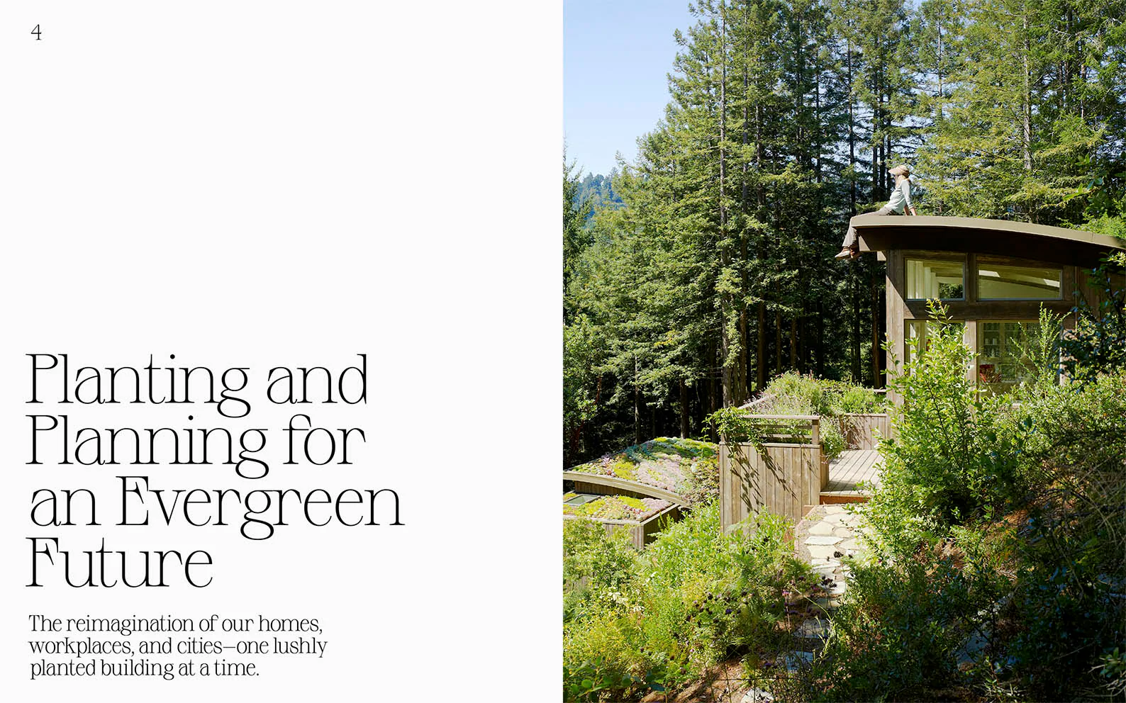 Evergreen Architecture - Image 6