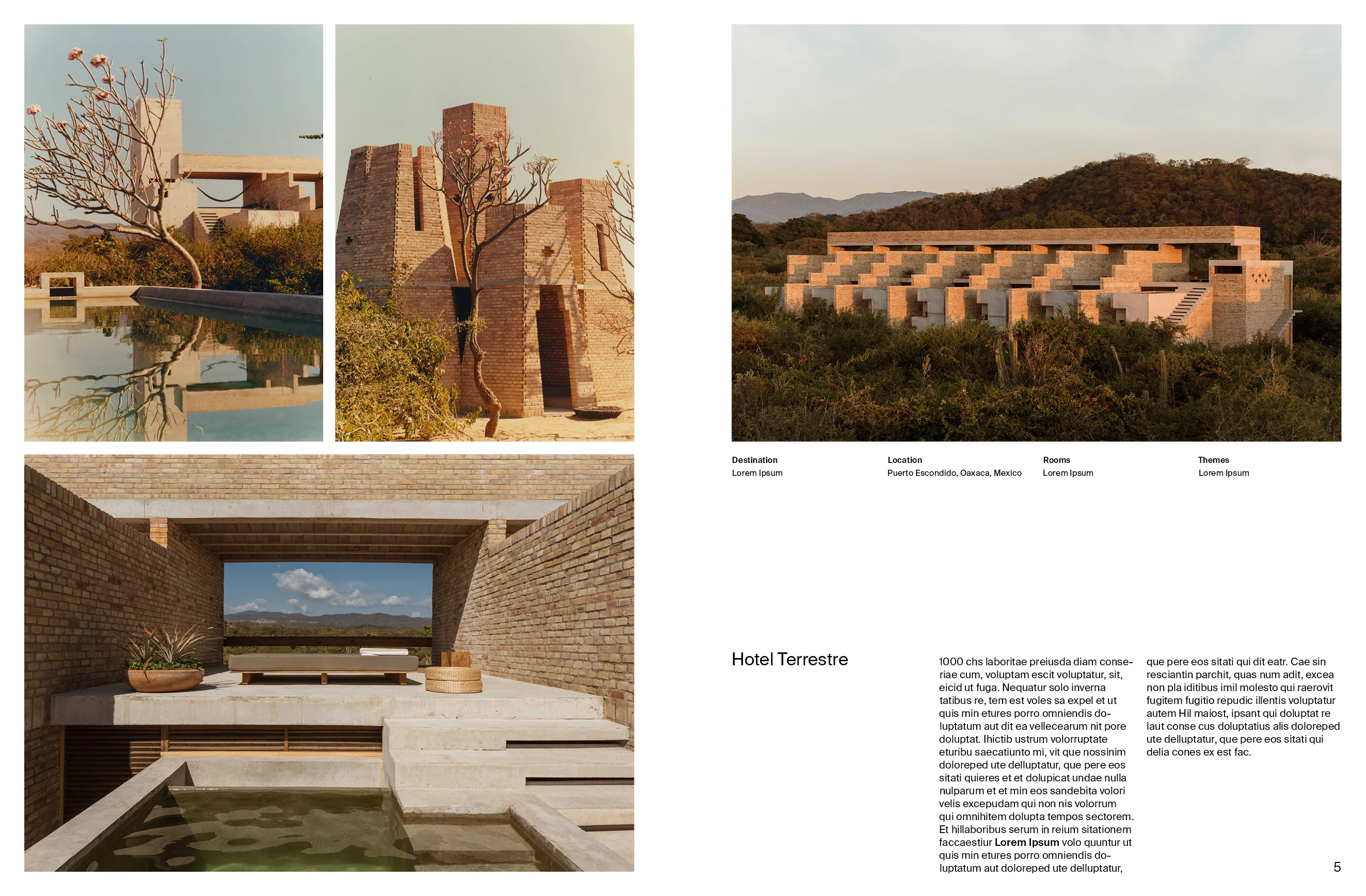Designed to Stay: The Design Hotels Book - Image 4