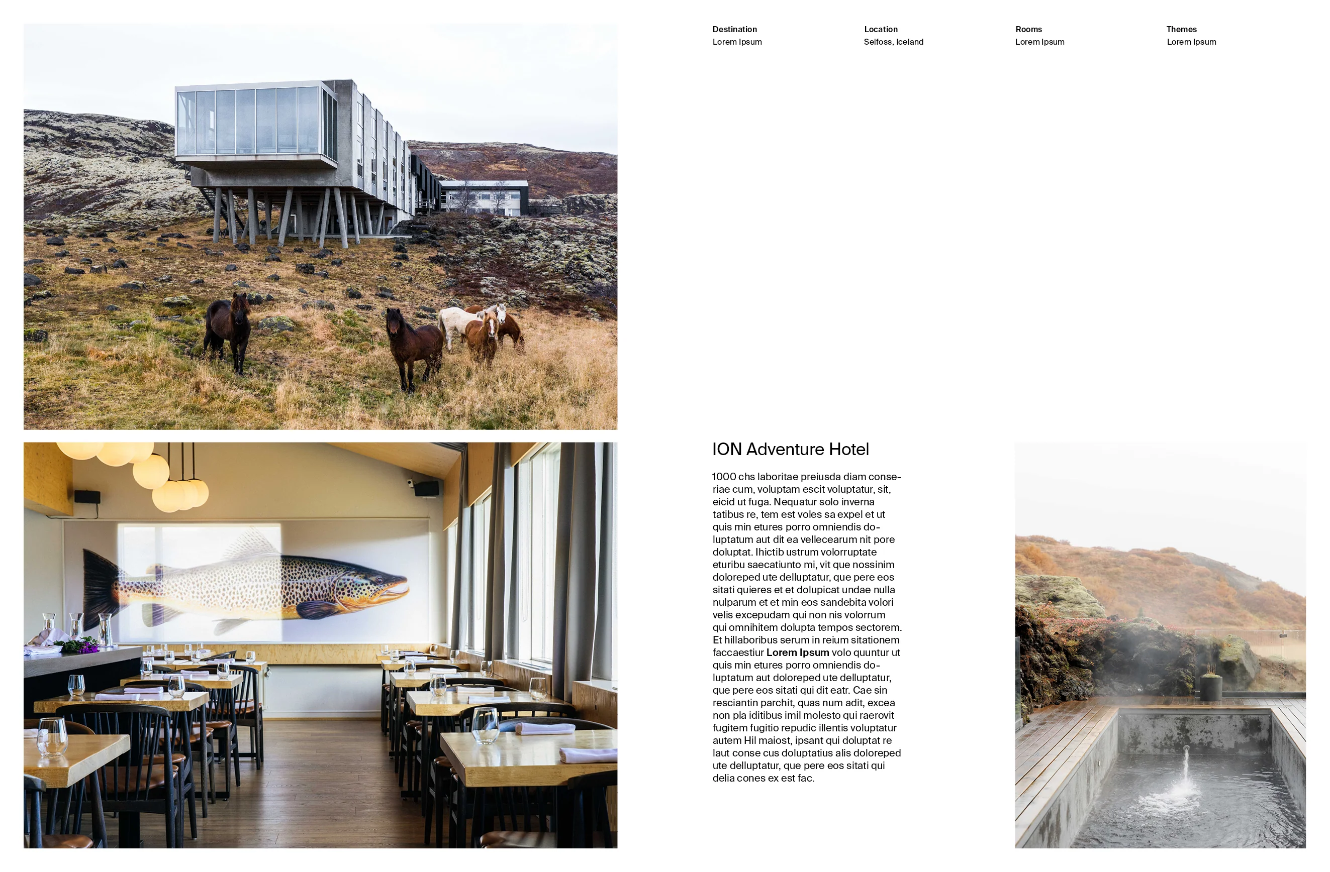 Designed to Stay: The Design Hotels Book - Image 5