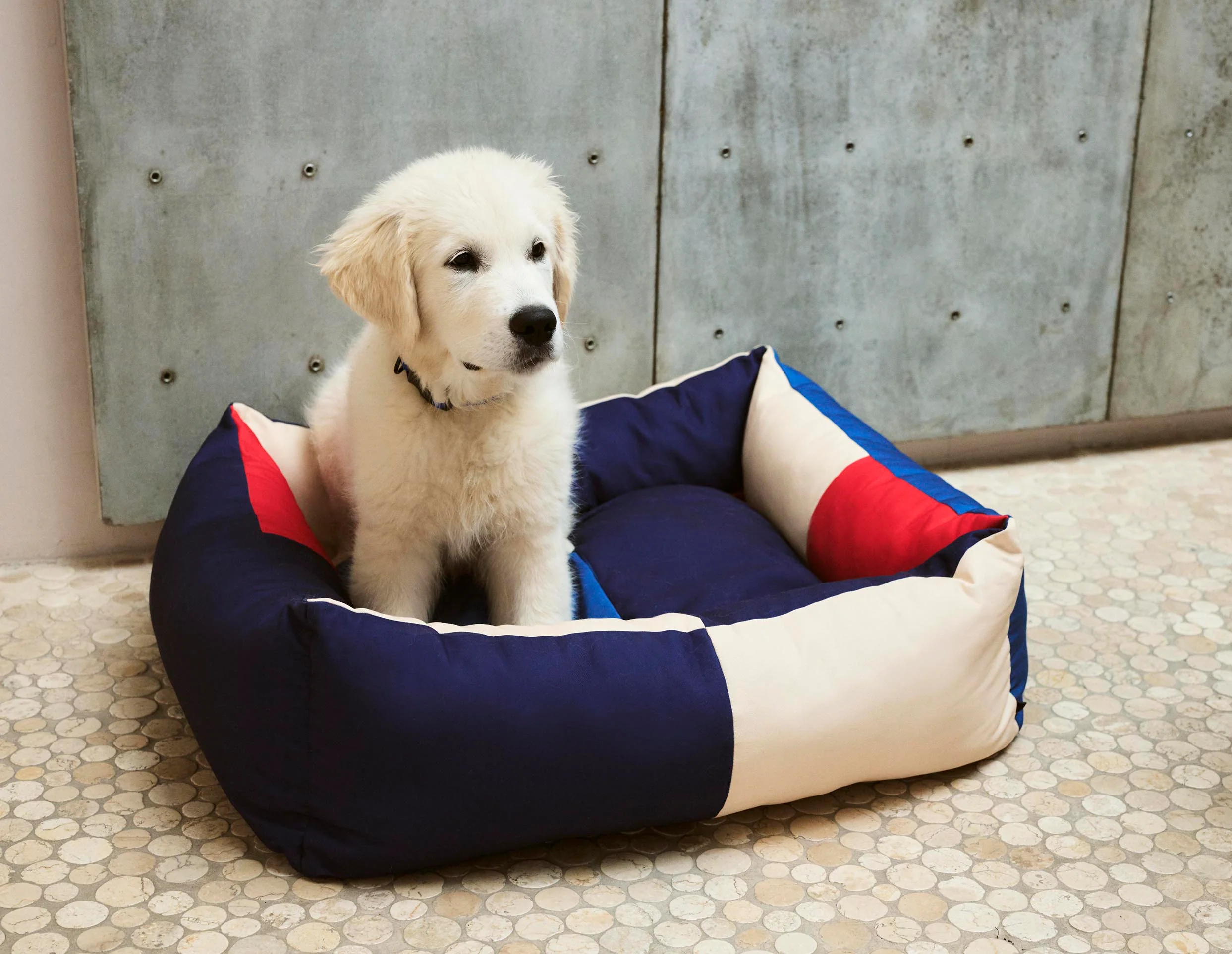 HAY Dog Bed Medium - Image 4