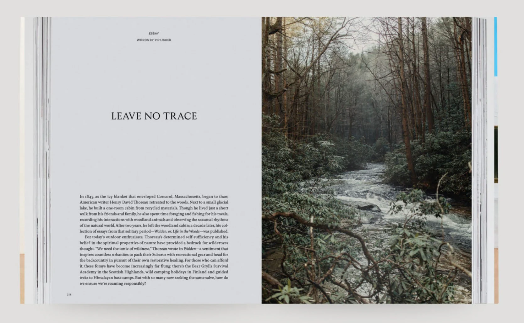 Kinfolk Travel - Image 3