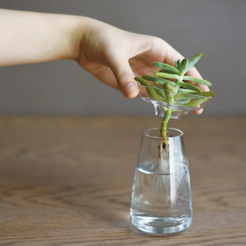 Kinto Aqua Culture Vase Small - Clear - Image 2