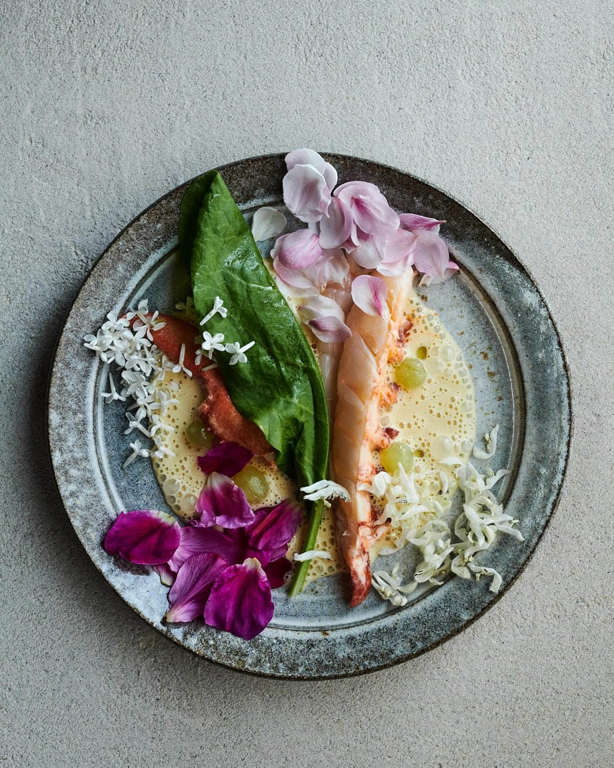 Noma 2.0 - Vegetable, Forest, Ocean - Image 6
